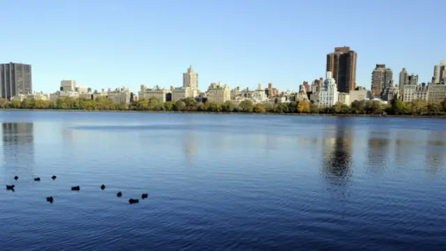 纽约中央公园。