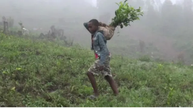 Brian, afise imyaka 14, akorera amafaranga y'ishure mu mirima.