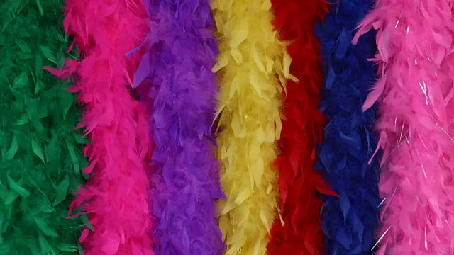 En el show, usaba plumas e interpretaba instrumentos musicales.