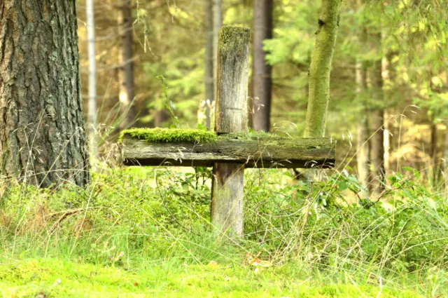 Крест в лесу