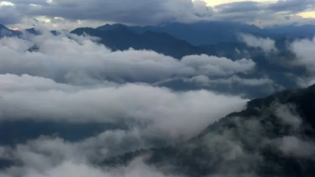 Місто мавпячого бога