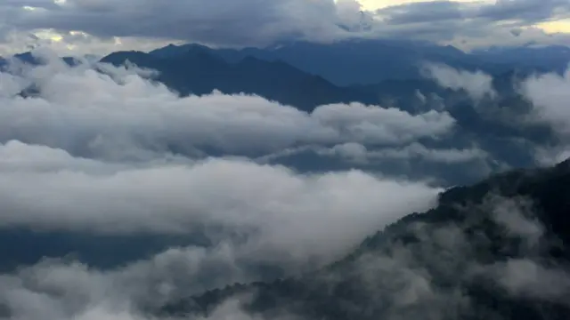 "Белый город" находится по легенде в биосферном заповеднике Рио-Платано в Гондурасе