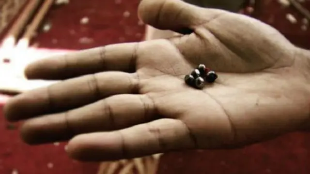 كرات حديدية جمعت من الحطام الذي خلفه التفجير الانتحاري 