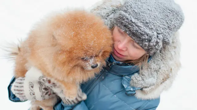 Александр Хомов