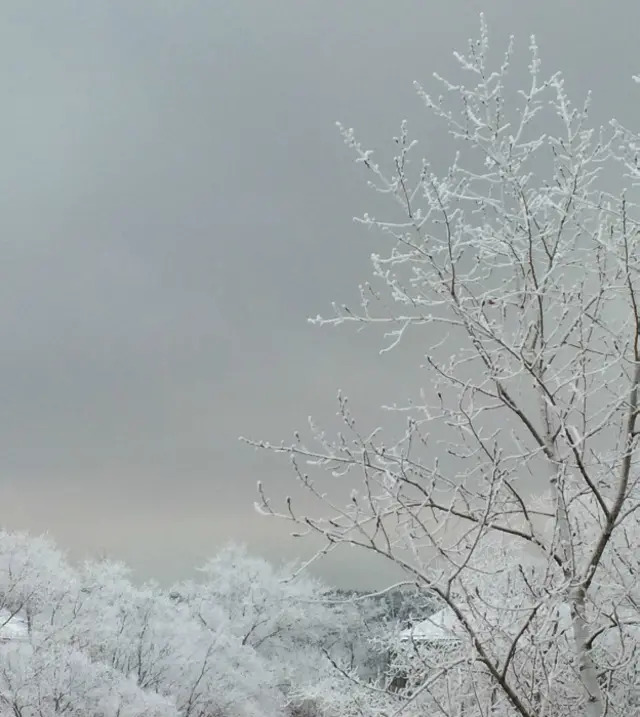 Татьяна Щелкунова