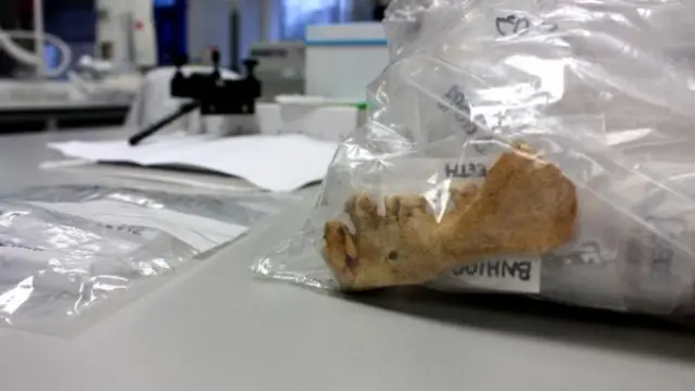 庫克實驗室的分析師發現,這塊骨骸屬於人類,但卻來自古代(圖片來源:Chris Baraniuk)