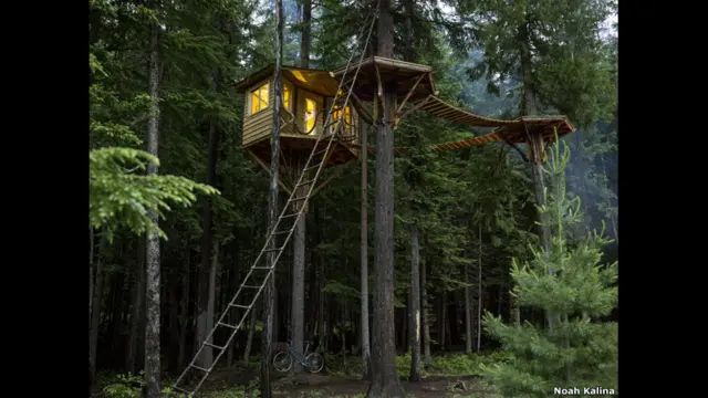 Foto pondok pohon. Ethan Schlussler