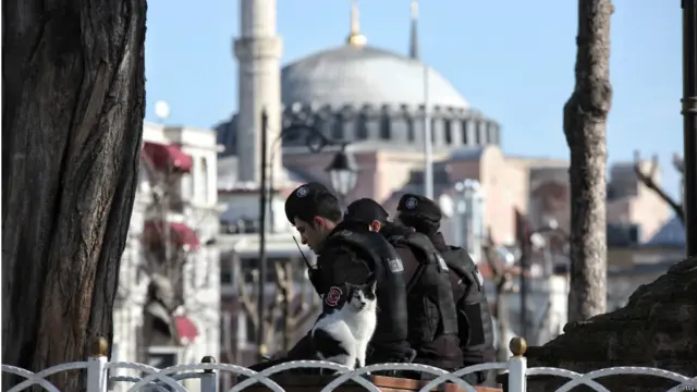 ترک صدر رجب طیب اردوغان کے مطابق سلطان احمد کے علاقے میں ہونے والے خودکش بمبار کے روابط شام سے تھے۔