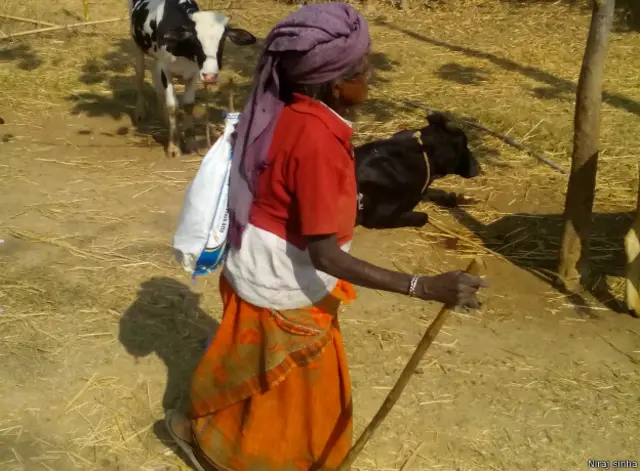 झारखंड गरीबी