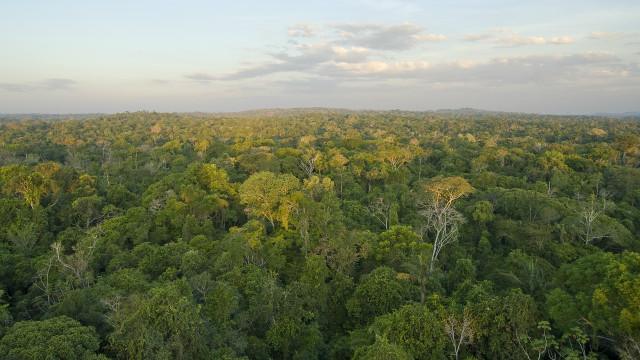 Estudo alerta para emissões de novas hidrelétricas na Amazônia