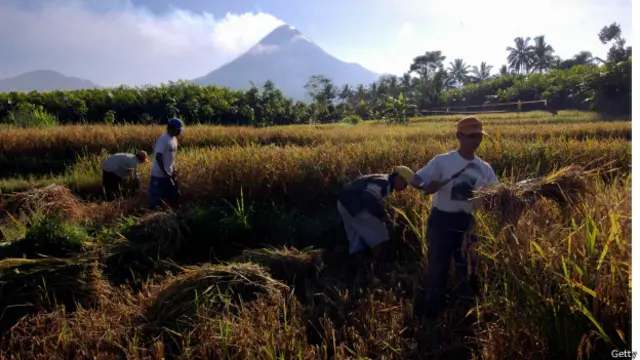 इंडोनेशिया