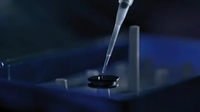 ДНК можно использовать для создания "синтетических окаменелостей"