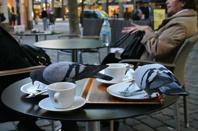 Foto de un lector de BBC Mundo por el tema "alemania" 