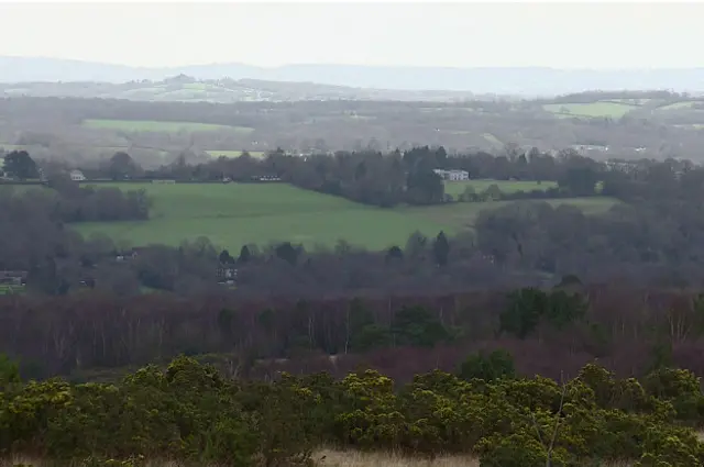 Ашдаунский лес
