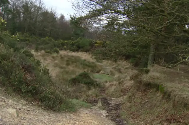 Песчаный карьер в Ашдаунском лесу