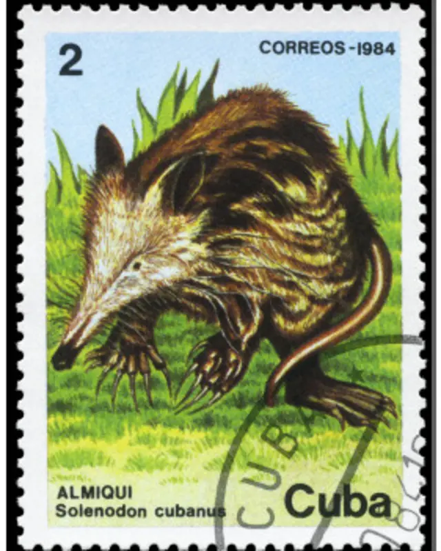 Una estampilla con un dibujo de un almiquí de Cuba