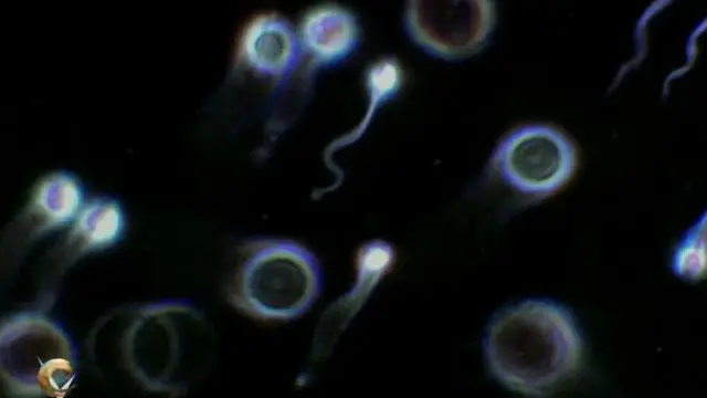 শুক্রাণু দেয়ার জন্য ৫০ পাউন্ড করে সার্ভিস চার্জ নেন সাইমন ওয়াটসন