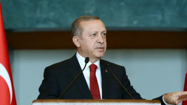 نویسندگان بیانیه از اردوغان خواسته بودند به جای عملیات نظامی، در صدد یافتن راه حلی صلحآمیز و پایان دادن به خشونت باشد