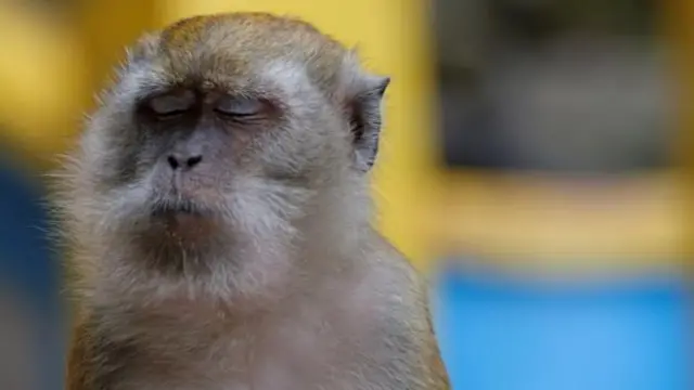 （图片来源：Thinkstock）