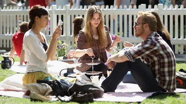 Традиционный пикник в стиле "фика"; Лондон, 2011 год