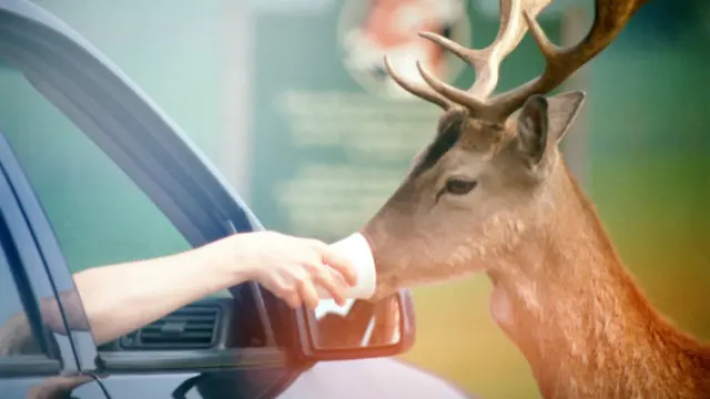 حاول تقديم بعض صنائع المعروف بشكل عشوائي، فإن سعادة مقدم المساعدة يمكن أن تدوم لأيام