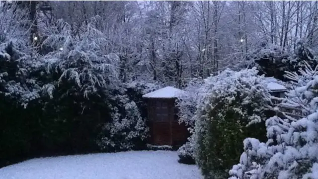 स्टेफ़नी कोल ने सरे से ये तस्वीर भेजी है जिसमें उनके घर के पीछे के गार्डन में हर तरफ़ बर्फ़ ही बर्फ़ है.