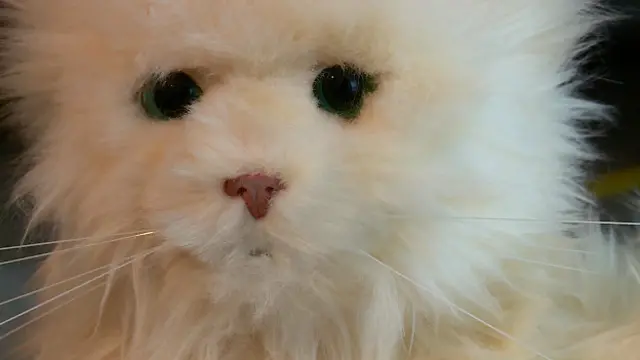 Робокот Алан