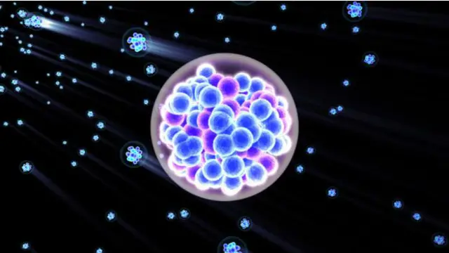 Núcleo del elemento 117