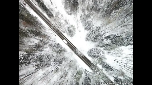 Тропинка в лесу в Литве