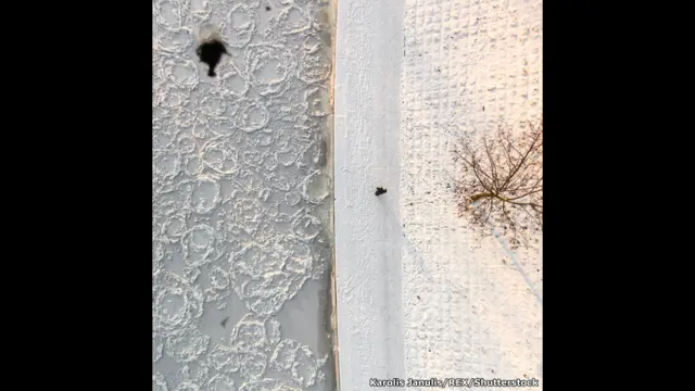 Деревня в Литве