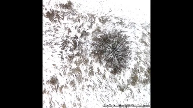 Деревня в Литве