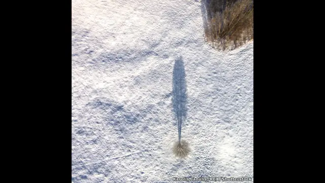 Деревня в Литве