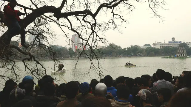 Ảnh chụp hôm 8/3/2011 khi thành phố Hà Nội định ‘vây bắt’ "Cụ Rùa" hồ Hoàn Kiếm (hồ Gươm) để tiến hành chữa trị  