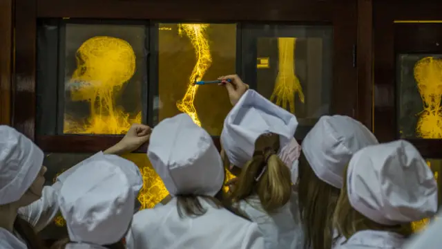 Студенты медвуза