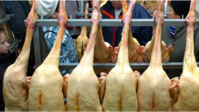 在法国西南部圣帕莱举行的鹅肝大赛上，人们在挂着的鸭子旁聊天。(Bob Edme/Associated Press)（图片来源：Bob Edme/Associated Press）