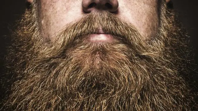Зачем мужчине борода?