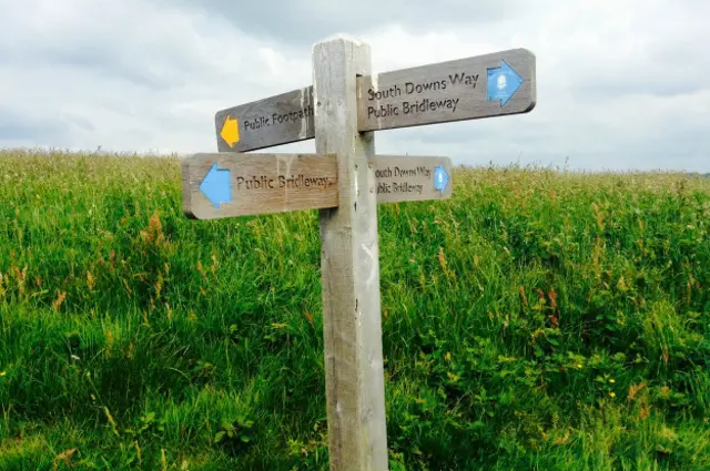 Алена Варгина