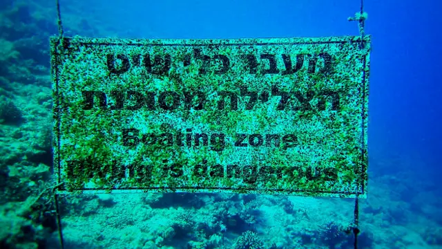 Александр Бондарев