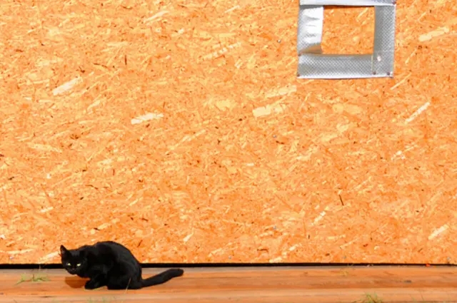 Юрий Дениско