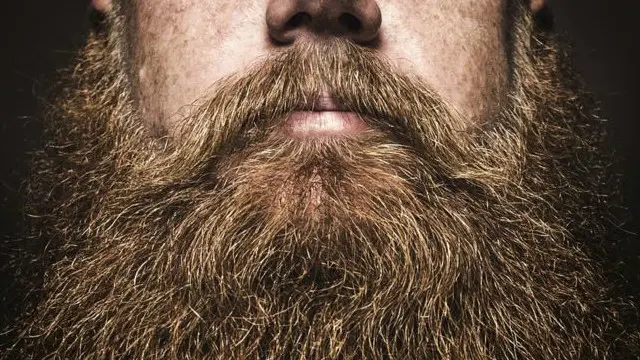 کیا داڑھیاں انفیکشن کے خلاف مزاحمت کرتی ہیں؟