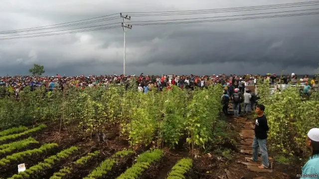 Juru bicara Gafatar Wisnu Windhani mengaku komunitasnya hanya ingin bercocok tanam.