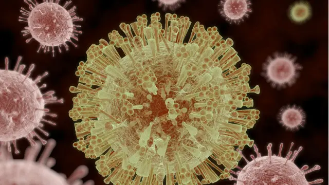 Virus zika
