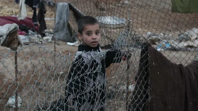 طالبت المنظمات بالعمل للتوصل إلى حل دبلوماسي ينهي نهائيا الصراع الدائر في سوريا.