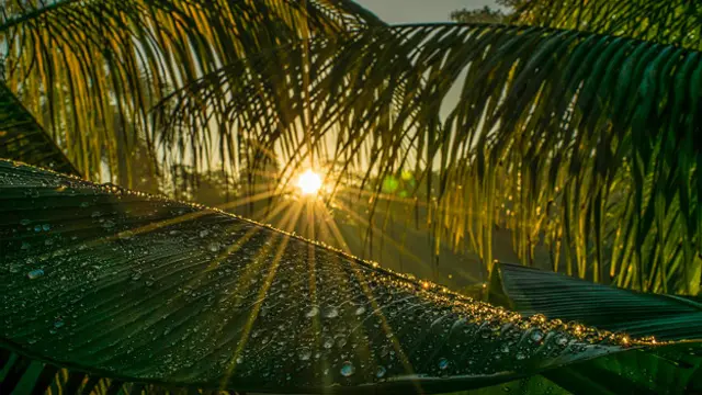 Convocatoria fotográfica "Amanecer". Foto lector BBC Mundo