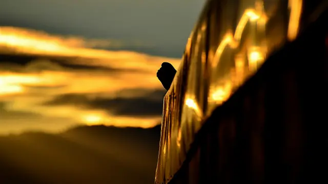 Convocatoria fotográfica "Amanecer". Foto lector BBC Mundo