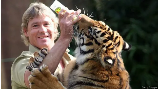 شیر کی عمر 12 سال ہے اور اُس کا نام رینو ہے