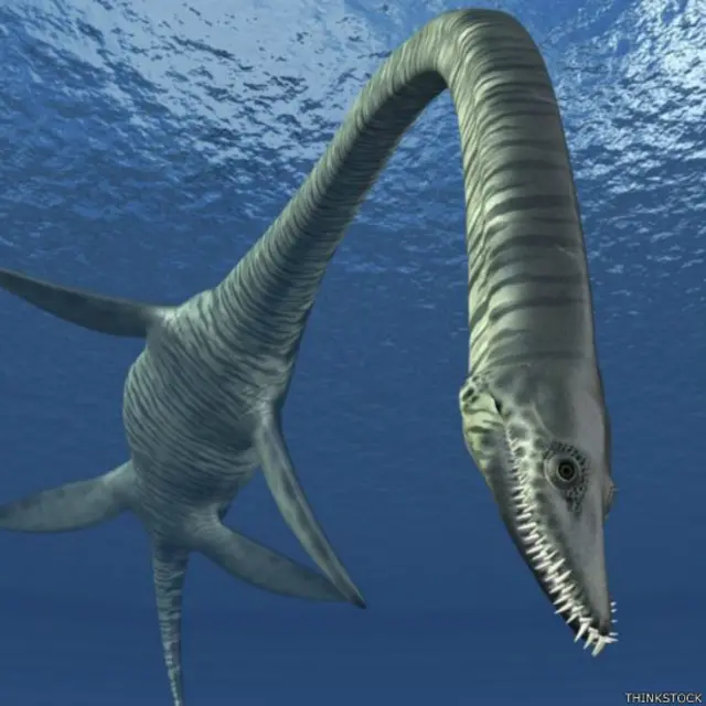 Плезиозавр