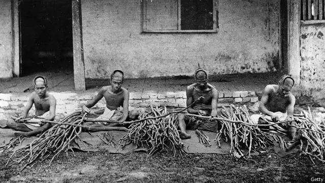 පෘතුගීසි, ලන්දේසි, ඉංග්රීසි යුගයේ සිට පැවත ආ කුරුඳු වගාවේ වෙළඳ ඒකාධිකාරය තවමත් හිමි ව ඇත්තේ ශ්රී ලංකාවටයි