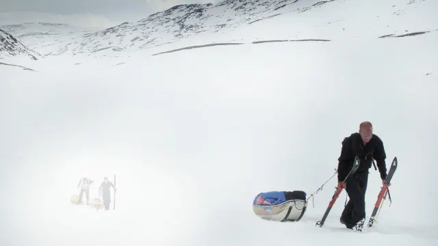 Принц Вільям