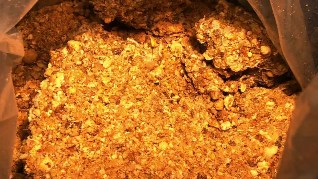 د افغانستان په ټولو ولایتونو کې بېلابیل طبي بوټي شته